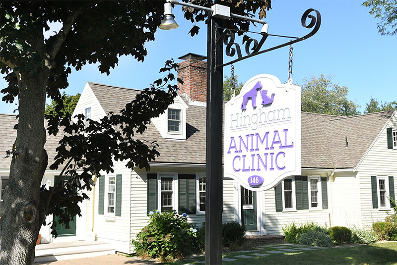 animal hospital in Hingham