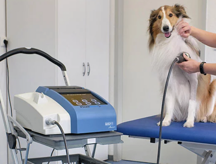 Shockwave Therapy